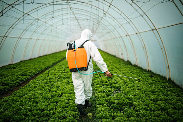 Best Mosquito Control Services  in Twin Falls, ID