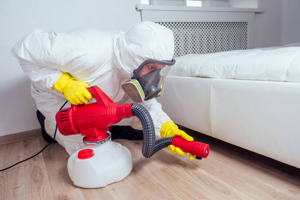 Best Affordable Pest Control Services  in Twin Falls, ID
