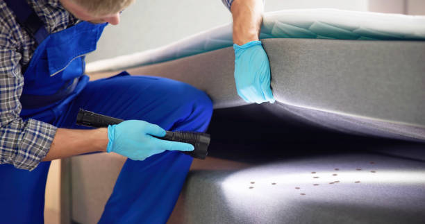 Best Cockroach Control Services  in Twin Falls, ID