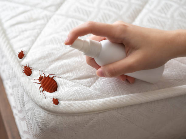 Twin Falls, ID Pest Control Company