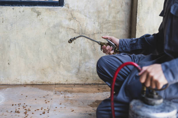Best Wasp Removal Services  in Twin Falls, ID